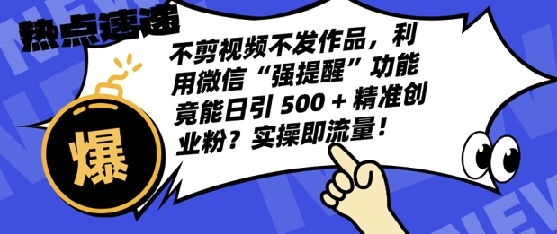 不剪视频不发作品，视频号私信日引 500 + 精准创业粉?实操即流量!-DE云网创