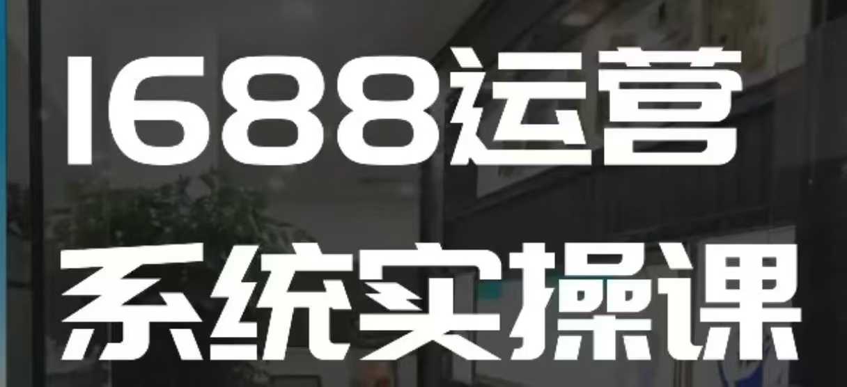 1688高阶运营系统实操课，快速掌握1688店铺运营的核心玩法-DE云网创