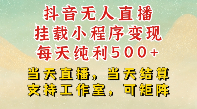 抖音无人直播挂载小程序变现每天纯利500+当天直播，当天结算支持工作室，可矩阵【揭秘】-DE云网创