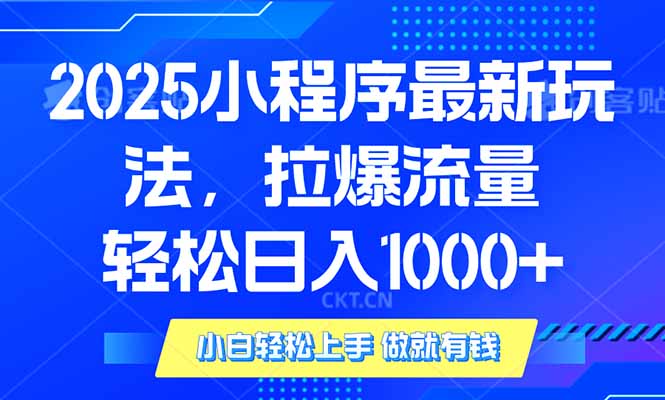 （14028期）2025年小程序最新玩法，流量直接拉爆，单日稳定变现1000+-DE云网创