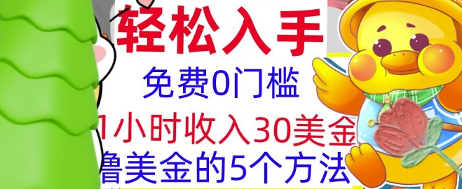 免费撸美刀的5个方法，1小时收入30美刀，0门槛，轻松入手-DE云网创