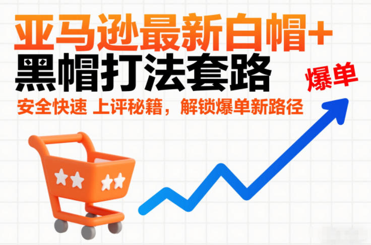 亚马逊最新白帽+黑帽打法套路，安全快速上评秘籍，解锁爆单新路径-DE云网创