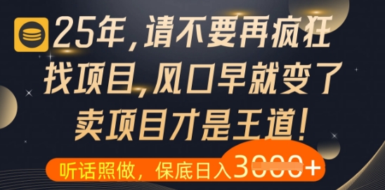 什么？25年你还在疯狂找项目做，醒醒吧，看完这些你全都懂了【揭秘】-DE云网创