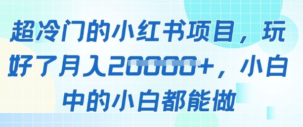 超冷门的小红书项目，玩好了月入过1w，小白中的小白都能做-DE云网创