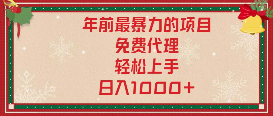 （13773期）年前最暴力的项目，免费代理，轻松上手，日入1000+-DE云网创
