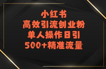 小红书高效引流创业粉，单人操作日引500+精准流量-DE云网创