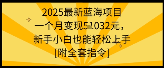 2025最新蓝海项目一个月变现1w+新手小白也能轻松上手【附全套指令】-DE云网创