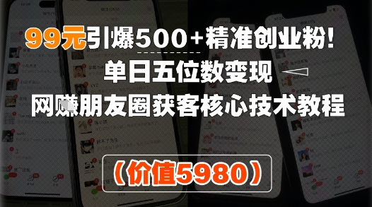 99元引爆500+精准创业粉!单日五位数变现,网创朋友圈获客核心技术教程插图 文章封面