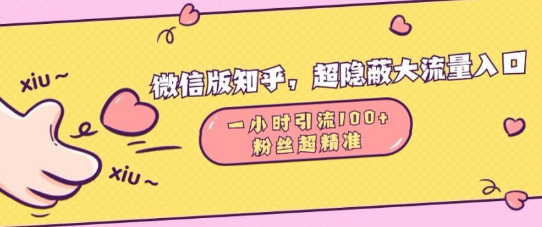 微信版知乎，超隐蔽流量入口1小时引流100人，粉丝质量超高【揭秘】-DE云网创