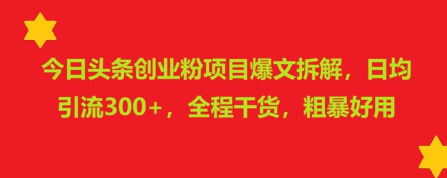 今日头条创业粉项目爆文拆解，日均引流300+，全程干货，粗暴好用-DE云网创