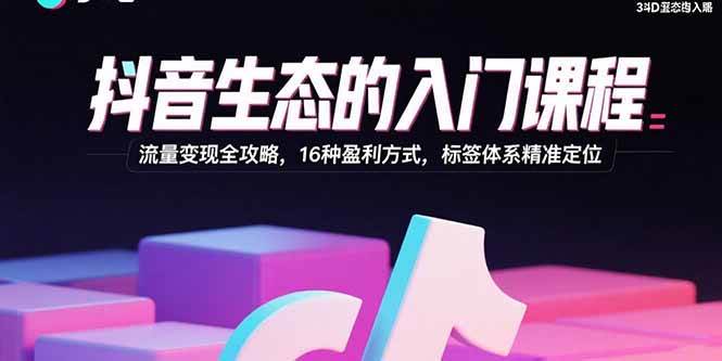 （15856期）抖音生态的入门课程：流量变现全攻略，16种盈利方式，标签体系精准定位-DE云网创