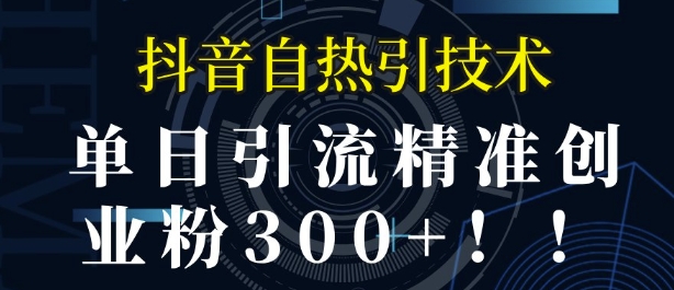 抖音自热引流，单日引流精准创业粉300+-DE云网创