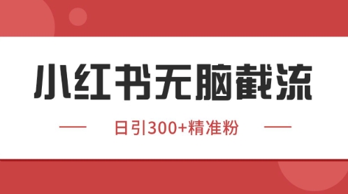 小红书只要你有同行就能获客，独家野路子获客玩法，暴力截流【揭秘】-DE云网创