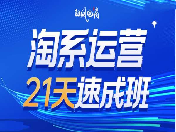 淘系运营21天速成班35期，年前最后一波和2025方向-DE云网创