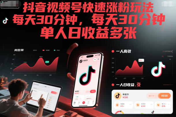 抖音视频号快速涨粉玩法，每天30分钟，单人日收益多张-DE云网创