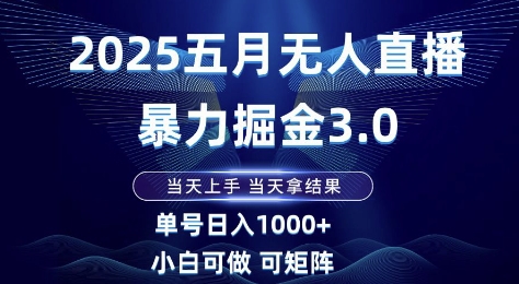 2025五月无人直播暴力掘金3.0，当天上手，当天拿结果，单号日入1k+小白可做可矩阵【揭秘】-DE云网创