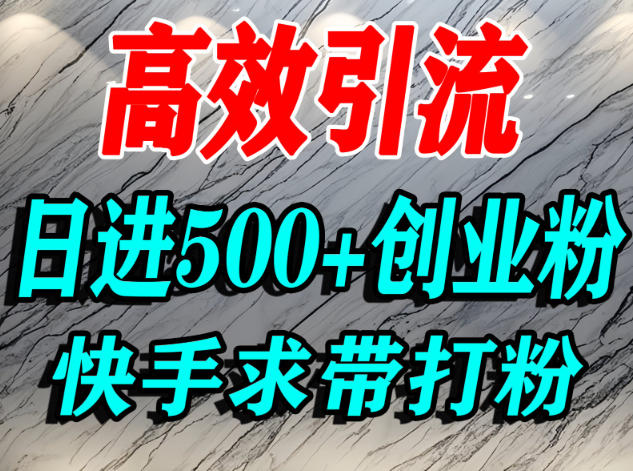 怎么打创业粉?快手求带视角精准引流创业粉,宝妈、学生群体日进500+精准流量-DE云网创