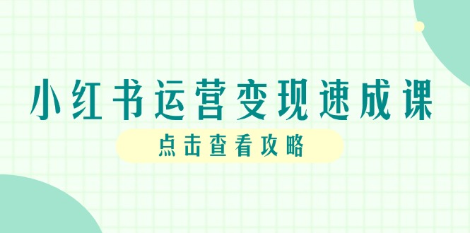 （14951期）小红书运营变现速成课，账号搭建到暴力起号，个人IP全流程指南-DE云网创