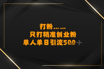 打粉只打精准创业粉，单人单日引流500+-DE云网创