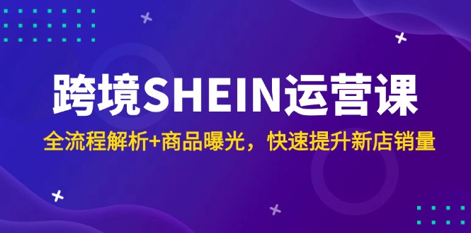 （14832期）跨境SHEIN运营课，全流程解析+商品曝光，快速提升新店销量-DE云网创