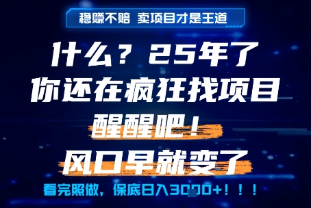 什么？25年你还在疯狂找项目做，醒醒吧，看完这些你全都懂了！【揭秘】-DE云网创
