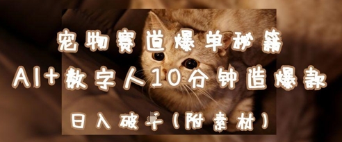 宠物赛道爆单秘籍：AI+数字人10分钟造爆款，日入1k-DE云网创