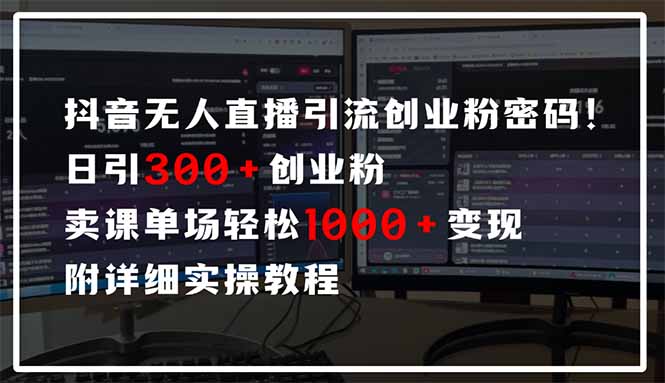 （14564期）抖音无人直播引流密码！日引300+创业粉 单场轻松1000+变现 附详细实操教程-DE云网创