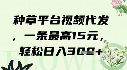 种草平台视频代发，一条最高15元，轻松日入3张-DE云网创