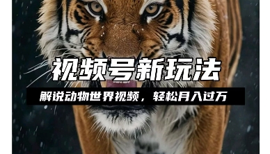 利用动物世界解说视频，赚分成计划收益，轻松月入过W，操作简单【揭秘】-DE云网创
