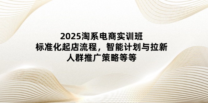 （14522期）2025淘系电商实训班：标准化起店流程，智能计划与拉新，人群推广策略等等-DE云网创