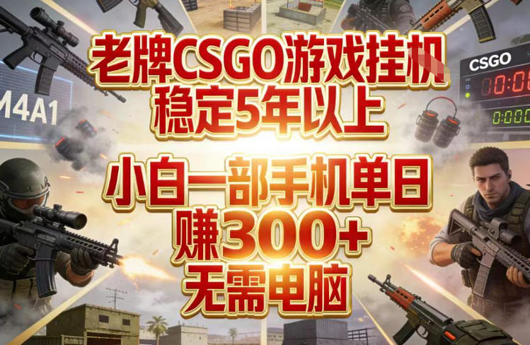 老牌CSGO游戏挂G，稳定5年以上，小白一部手机单日賺3张+，无需电脑【揭秘】-DE云网创