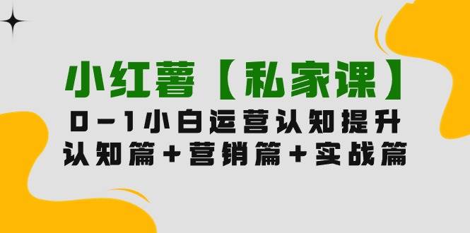 小红薯【私家课】0-1玩赚小红书内容营销，认知篇+营销篇+实战篇（11节课）-DE云网创
