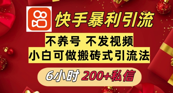 利用快手平台6小时不到200+私信，不发视频不养号-DE云网创