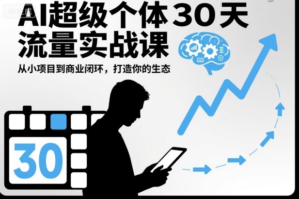 AI超级个体30天流量实战课，从小项目到商业闭环，打造你的生态-DE云网创