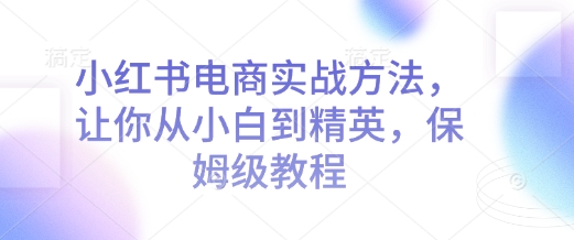 小红书电商实战方法，让你从小白到精英，保姆级教程-DE云网创