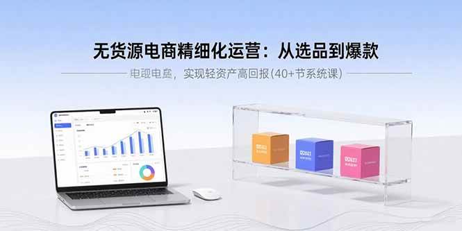 （15896期）无货源电商精细化运营：从选品到爆款，实现轻资产高回报(40+节系统课)-DE云网创
