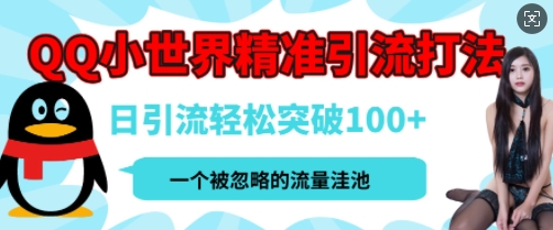 QQ私域引流平台，流量年轻且巨大，实操单日引流100+创业粉，月精准变现1W+-DE云网创