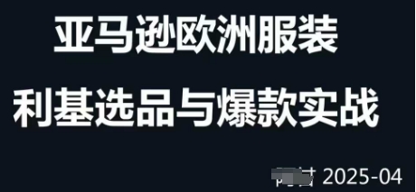 跨境电商选品案例24-25年，聚焦跨境电商选品策略与运营优化，助力卖家挖掘蓝海市场-DE云网创