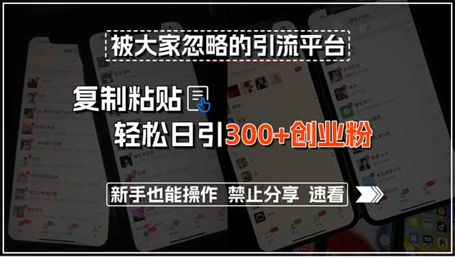 （15428期）被大家忽略的引流平台，复制粘贴轻松日引300+创业粉，新手也能操作，禁...-DE云网创