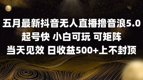 2025五月最新无人直播撸音浪单日产出5张+实操教程【揭秘】-DE云网创