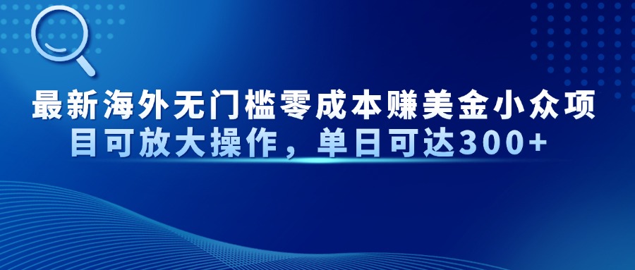 （14542期）最新海外无门槛零成本赚美金小众项目可放大操作，单日可达300+ -DE云网创