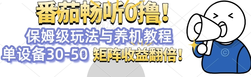 番茄畅听0撸，保姆级玩法与养机教程单设备30-50，矩阵收益翻倍-DE云网创