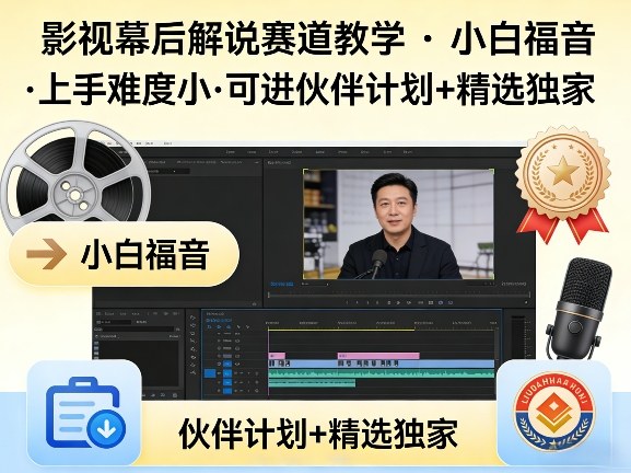 某大佬的影视幕后解说赛道教学，小白福音，上手难度小，可进伙伴计划+精选独家-DE云网创