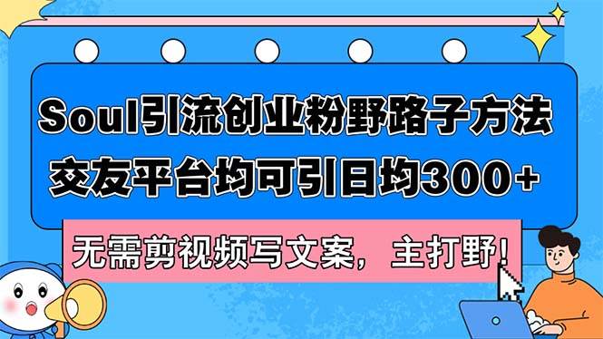 Soul引流创业粉野路子方法，交友平台均可引日均300+，无需剪视频写文案...-DE云网创