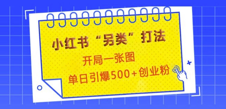 小红书“另类”打法，开局一张图，单日引爆500+精准创业粉【揭秘】-DE云网创
