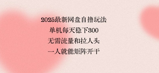 2025最新网盘自撸玩法，单机每天稳下3张，无需流量和拉人头，一个人就可轻松矩阵，全网独一份【揭秘】-DE云网创