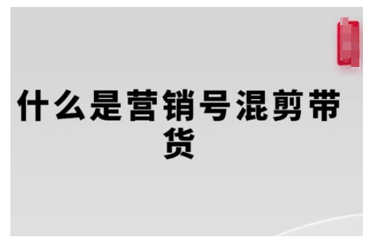 营销号混剪带货，从内容创作到流量变现的全流程，教你用营销号形式做混剪带货-DE云网创