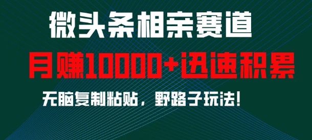 微头条相亲赛道，迅速积累，无脑复制粘贴，野路子玩法，月入1w-DE云网创