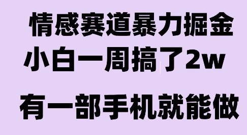 情感暴力掘金项目，新人操作一周挣了2W，长期稳定小白可做【揭秘】-DE云网创