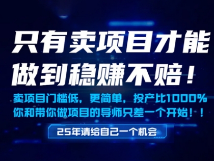 只有卖项目才能做到稳挣不赔，门槛低，更简单，你也可以年入百个W【揭秘】-DE云网创